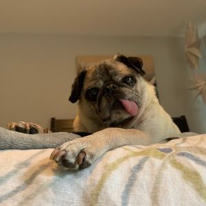 Meet your Posher, Anna